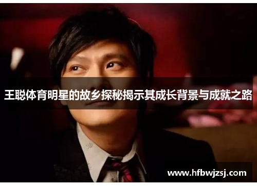 王聪体育明星的故乡探秘揭示其成长背景与成就之路